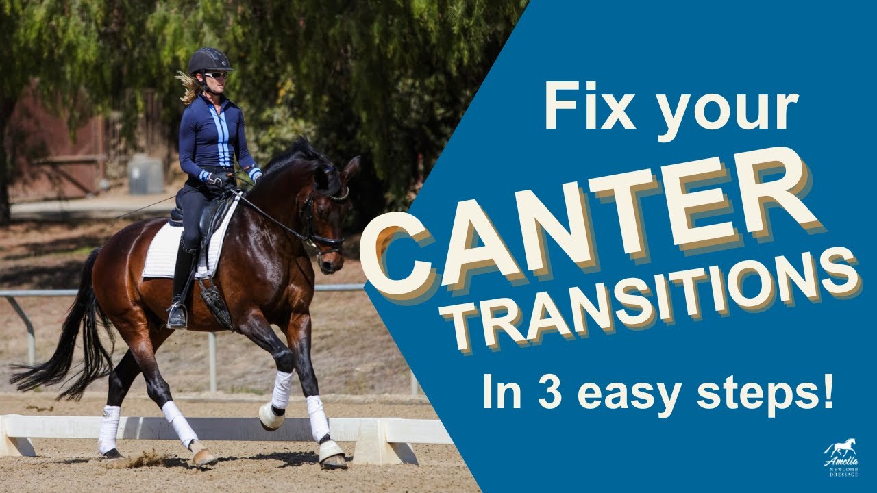 Improve Your Canter Transitions with these Patterns