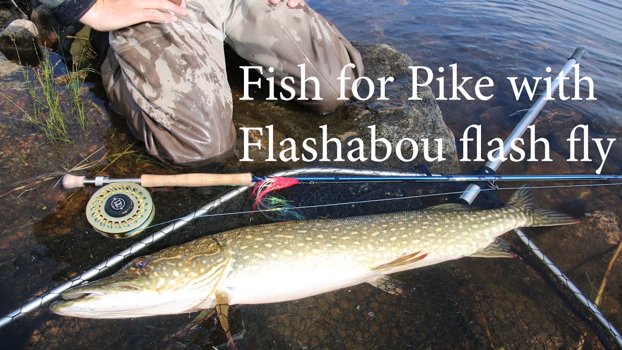 Pesca a mosca di lucci Flashabou flash fly streamer spiegazione di come utilizzare costruire facile