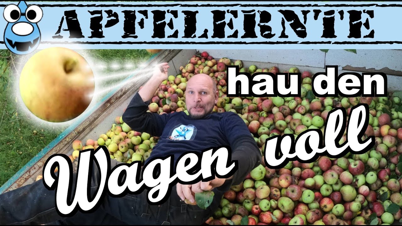 Apfelernte🍎🍎 mit 🚜Allrad durch die Streuobstwiese 🌳🌳🌳