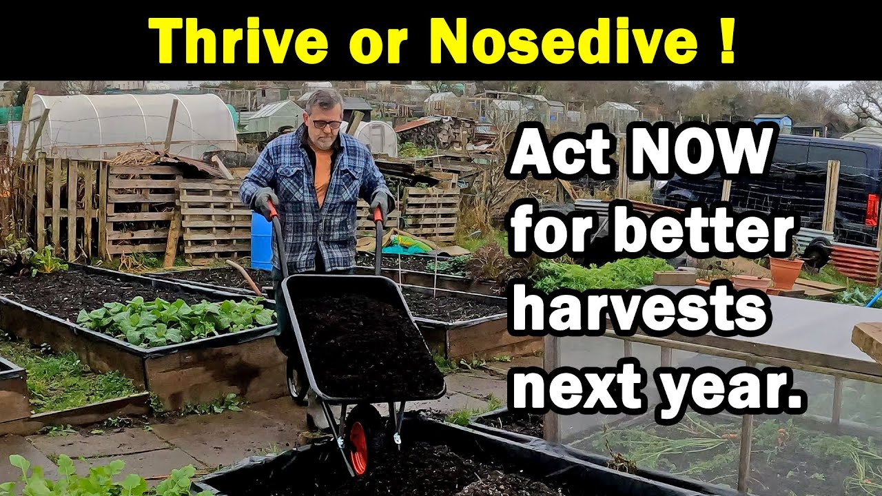 Thrive or Nosedive | Best Harvests 2022 | Act now | The Secret | Green Side Up