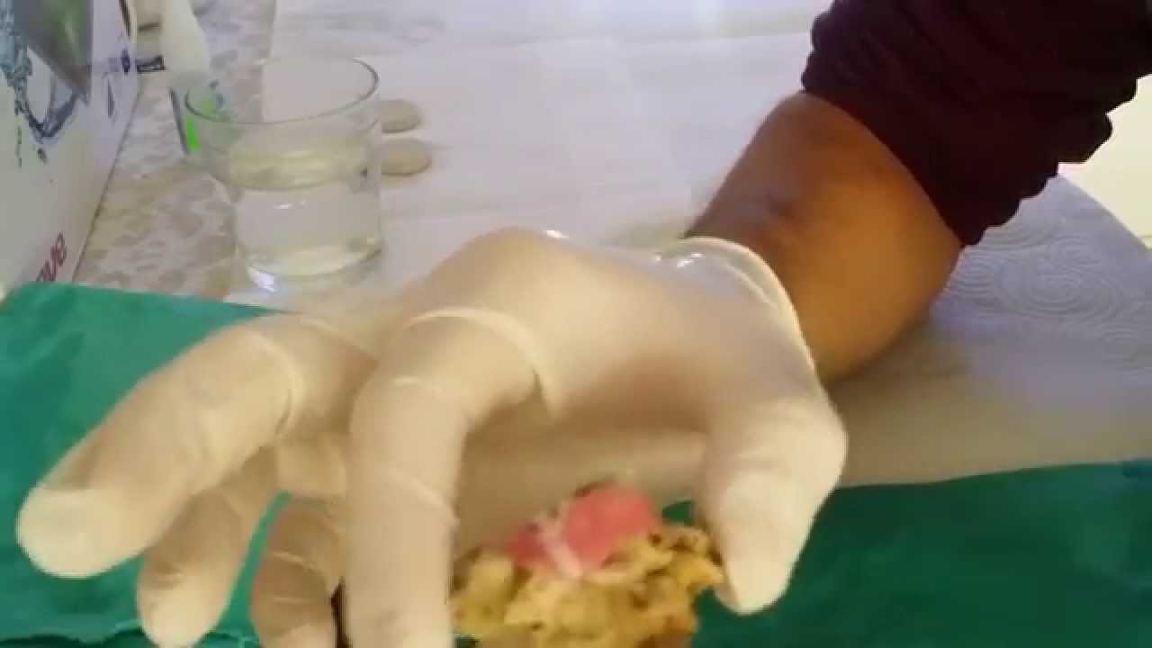 Esquejado y pegado de coral blando lobophyton