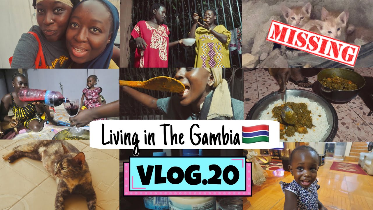 Living in The Gambia Vlog.20 THE KITTENS GO MISSING | Spend Ramadan in Gambia with me Vlog