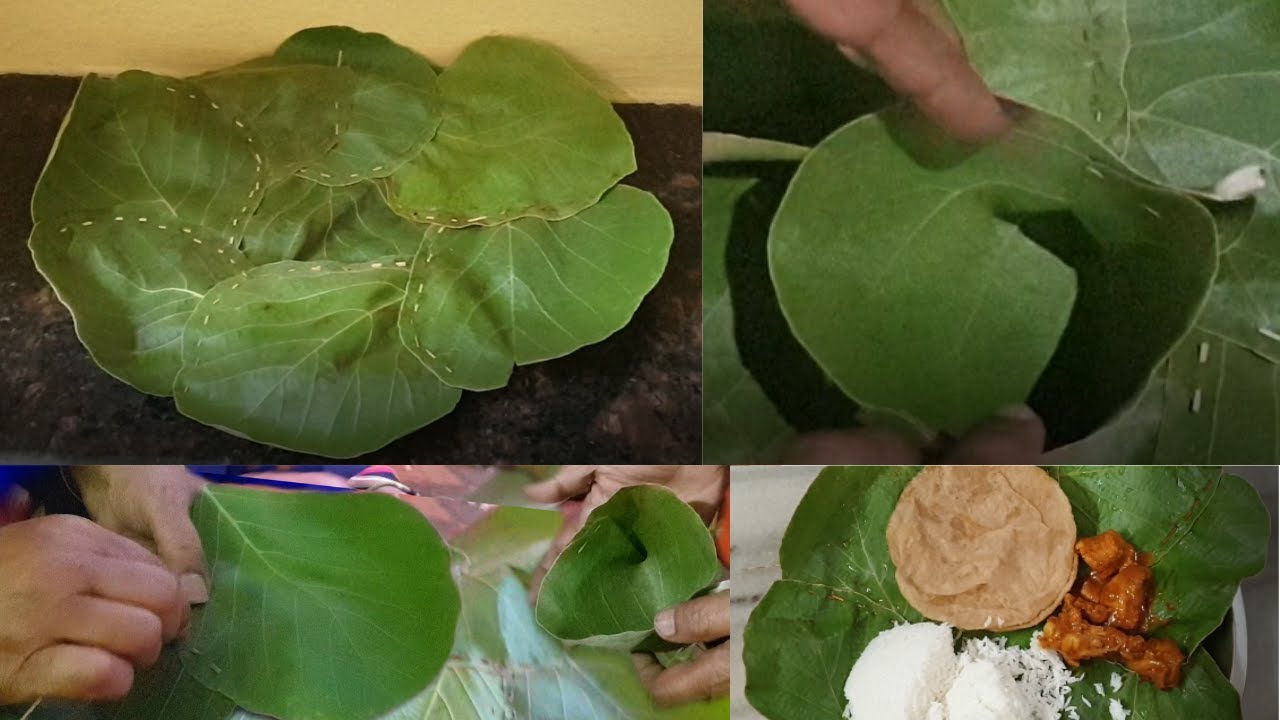 Eco Friendly Leaf Plates & Bowls at home | How to make disposable plates & glasses with palash leafs