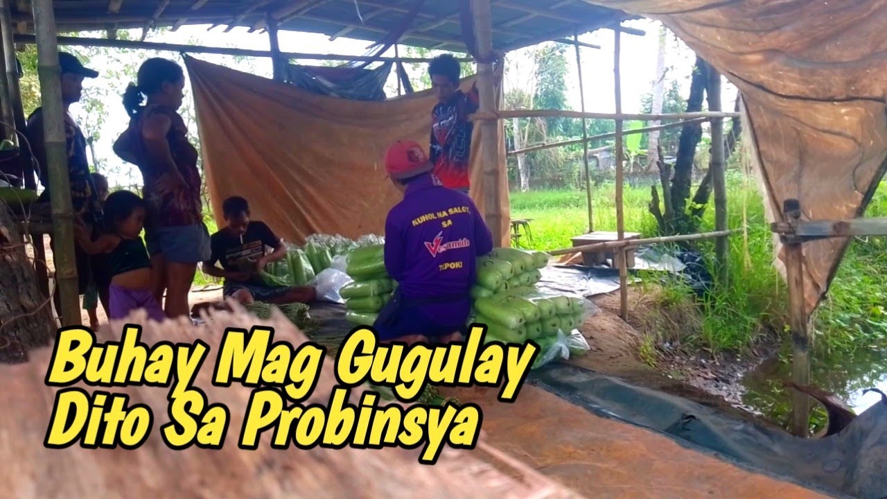 #001 Payapang Probinsya | #buhaybukid #buhayprobinsya #payapangprobinsya 