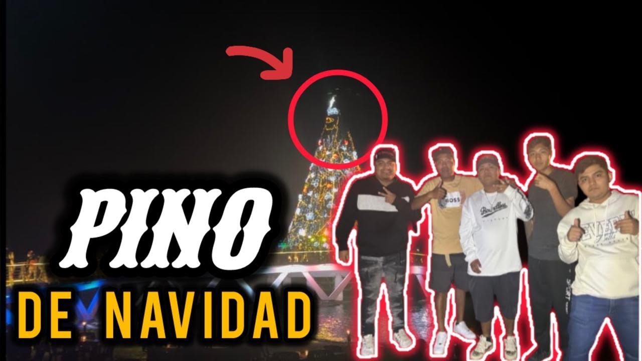 Fuimos a ver el pino del muelle | Los Tubalitos🍀