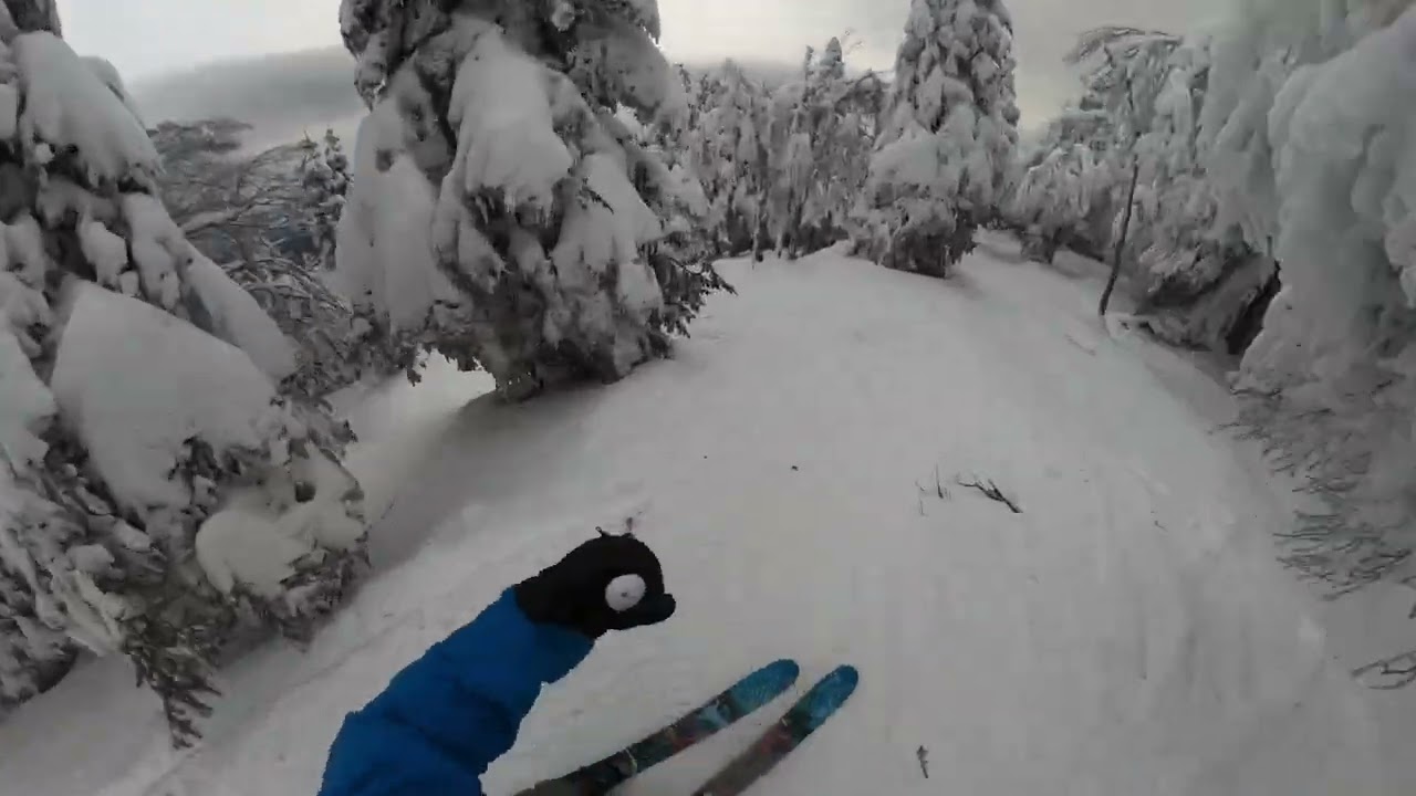 TREE SKIING at Jay Peak S2E6