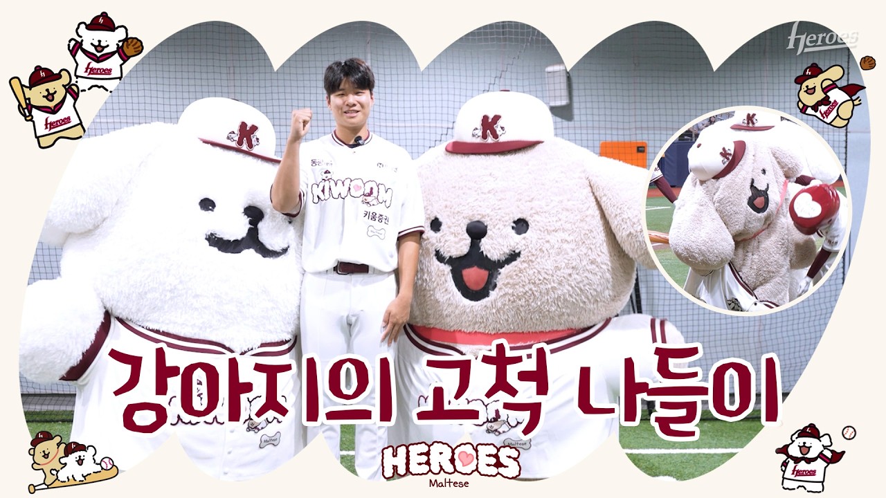 너무 열심히 해서 녹아내린 리트리버🐶💦 I KIWOOM HEROES X 몰티즈&리트리버