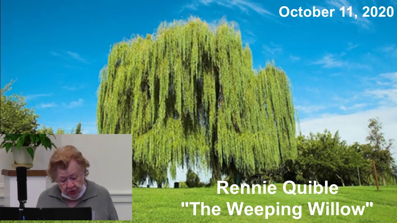 The Story of the Weeping Willow
