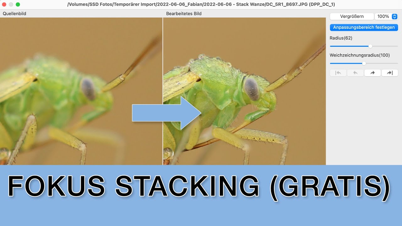 Insekten Makros mit Fokus Stacking fotografieren - Canon R5 und Digital Photo Professional (DPP)
