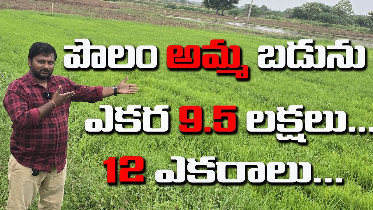 12 Acres agriculture lands 1 ACRE 9.5 LAKHS ONLY @NandhuRealaEstate