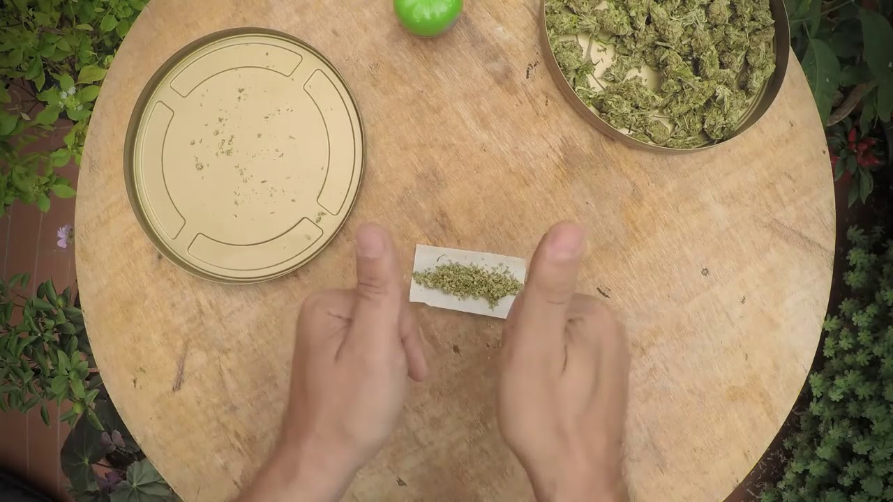 Capitulo 1  Para novatos! Como enrolar tu primer porro