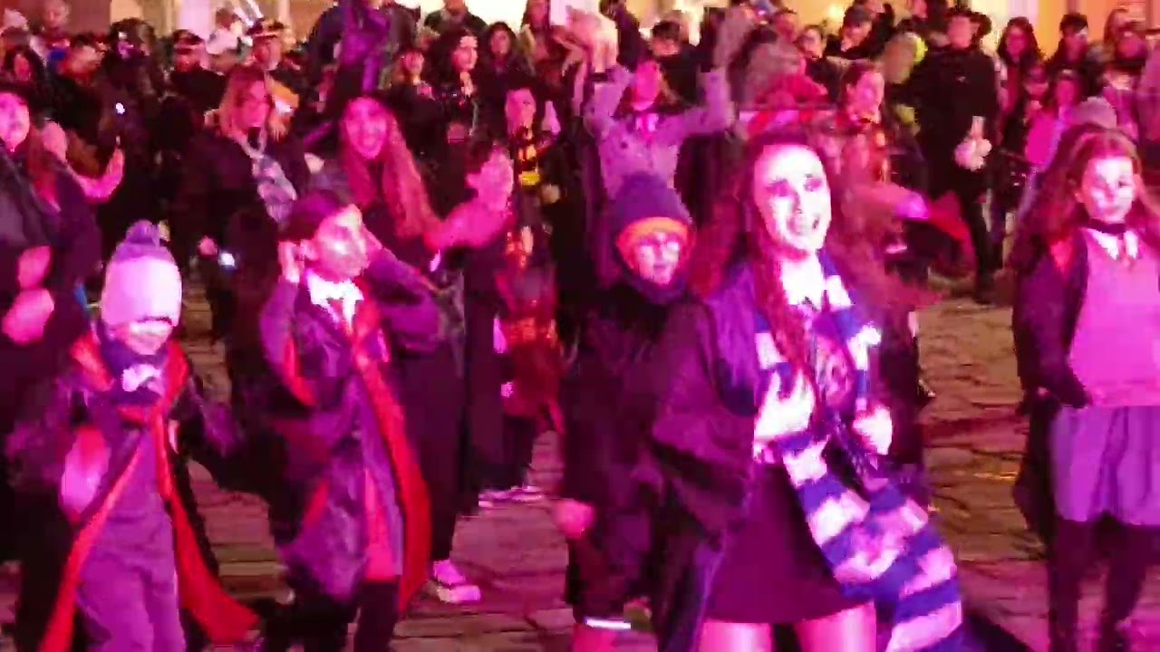 Harry Potter Carnevale di Ramacca 2024