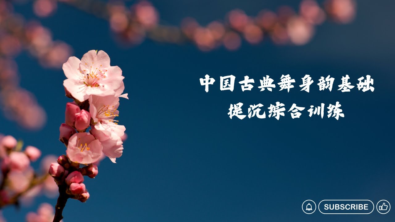 中国古典舞必练身韵基础组合 “提沉综合”--- 北京舞蹈学院身韵教材