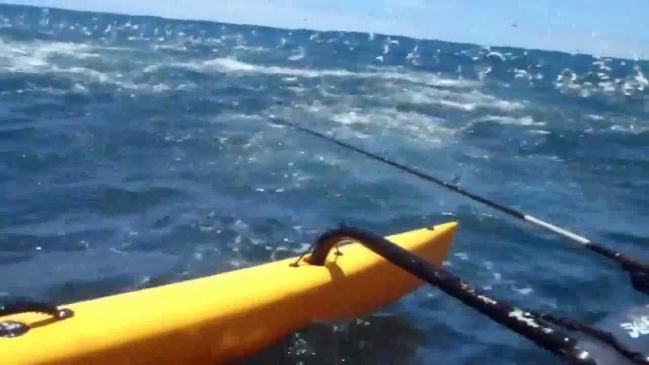 Sail! - Fishing massive tuna schools, on a Hobie Adventure Island