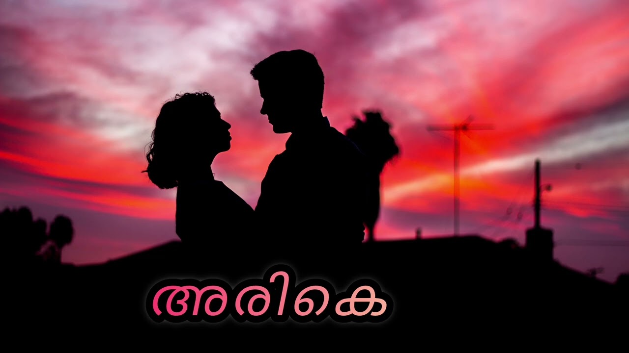 അരികെ | Malayalam romantic song | By Sunil prem 