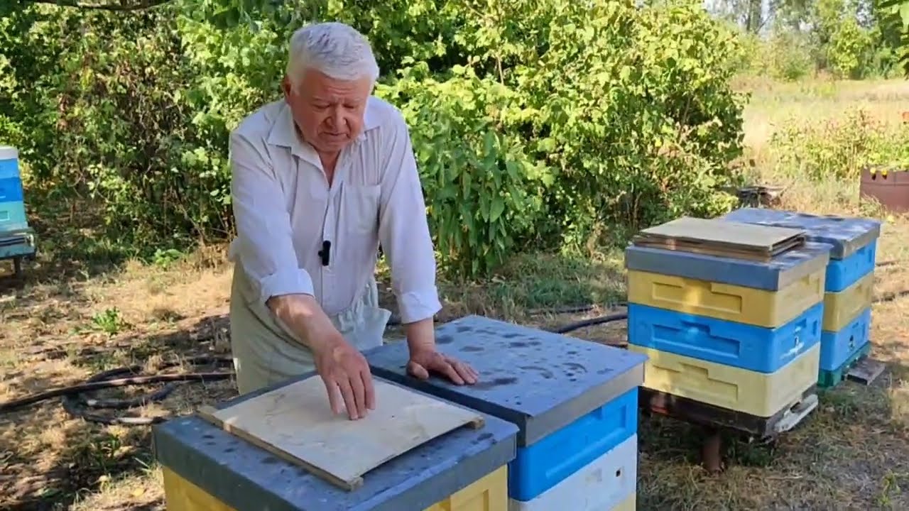 Пчеловодство. Обратите внимание на большое количество клещей!