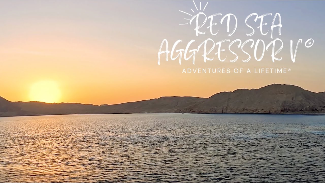 Red Sea Aggressor V | Diving the Deep South | Aggressor Adventures 2025