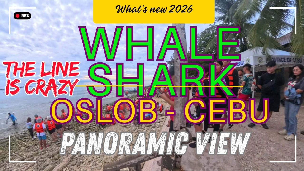 Worth It? Whale Shark Oslob Cebu | Super Long Waiting Line