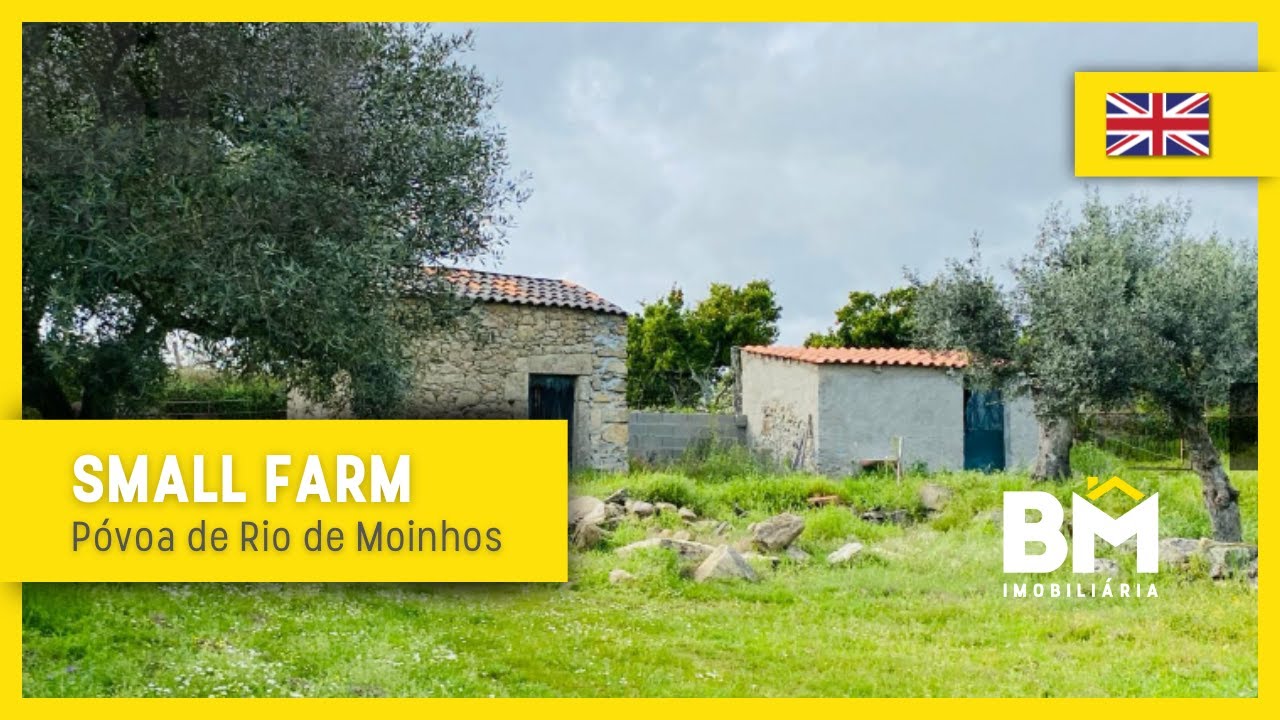 Small farm for sale  | Central Portugal | Castelo Branco - 31.000€