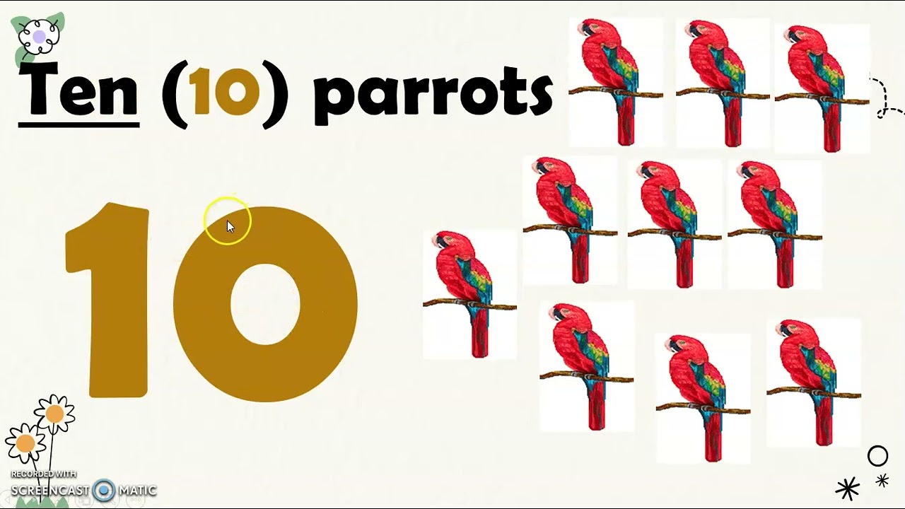 Visualizing and Representing Numbers from 0-100 ( from 11-100)