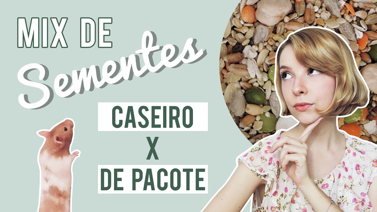 Mix de sementes para hamsters 🐹 | caseiro ou de pacote?