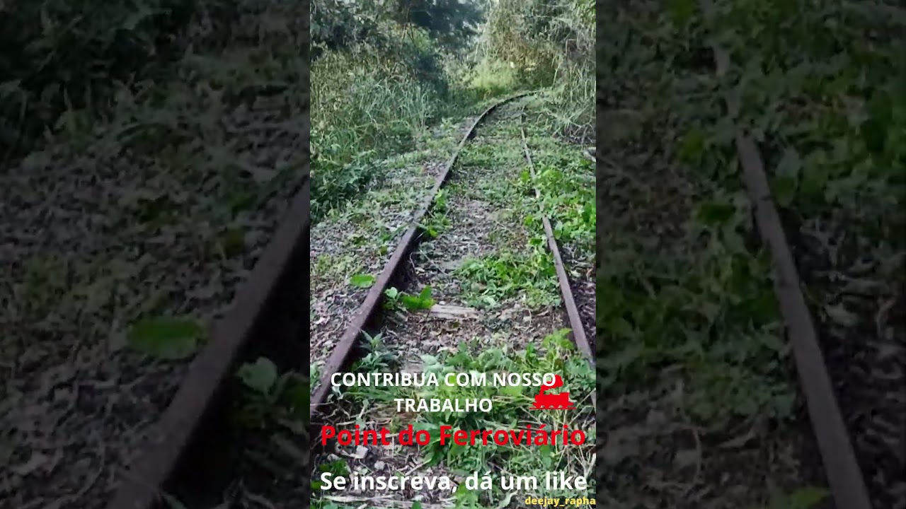 Limpando trecho ferrovi&aacute;rio abandonado.