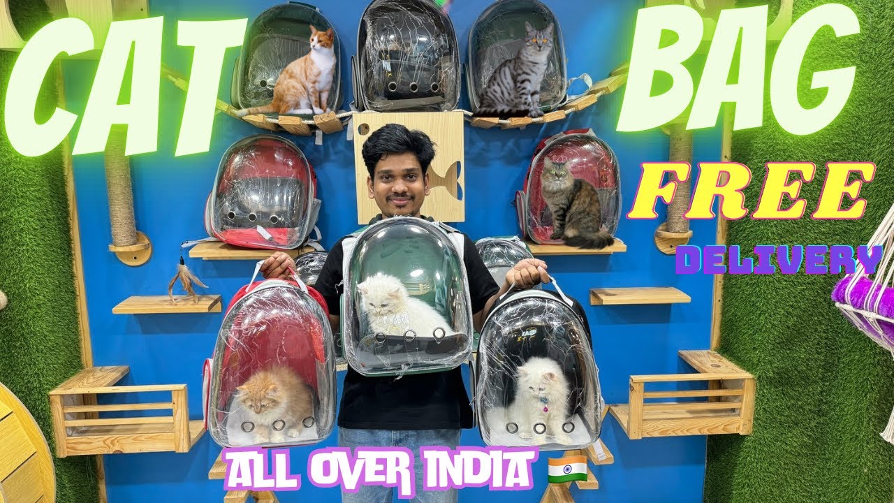 Cat Travel Bag ➡️FREE😱DELIVERY | Amazon & Flipkart Se Kam Rate me | Mumbai Largest Cat shop #catdad