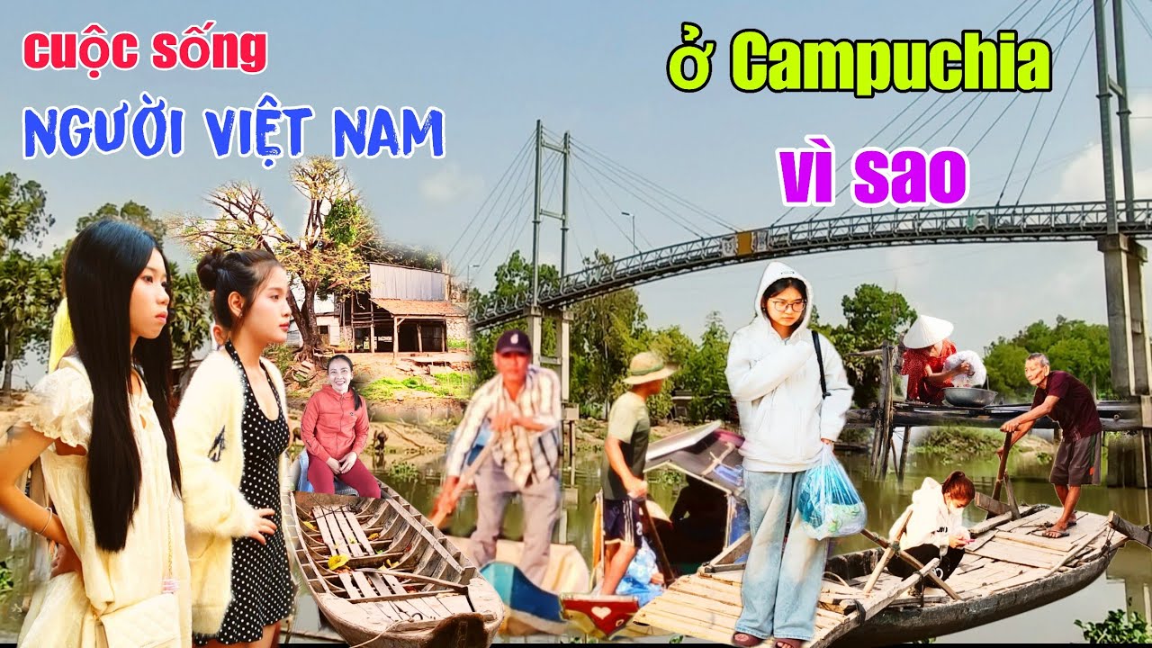Hầu hợp