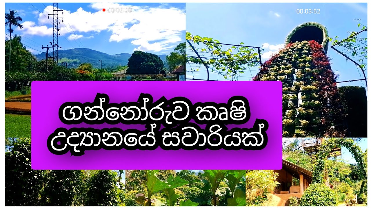 Travel vlog එකක් අරන් ආවා🙈☘️💐