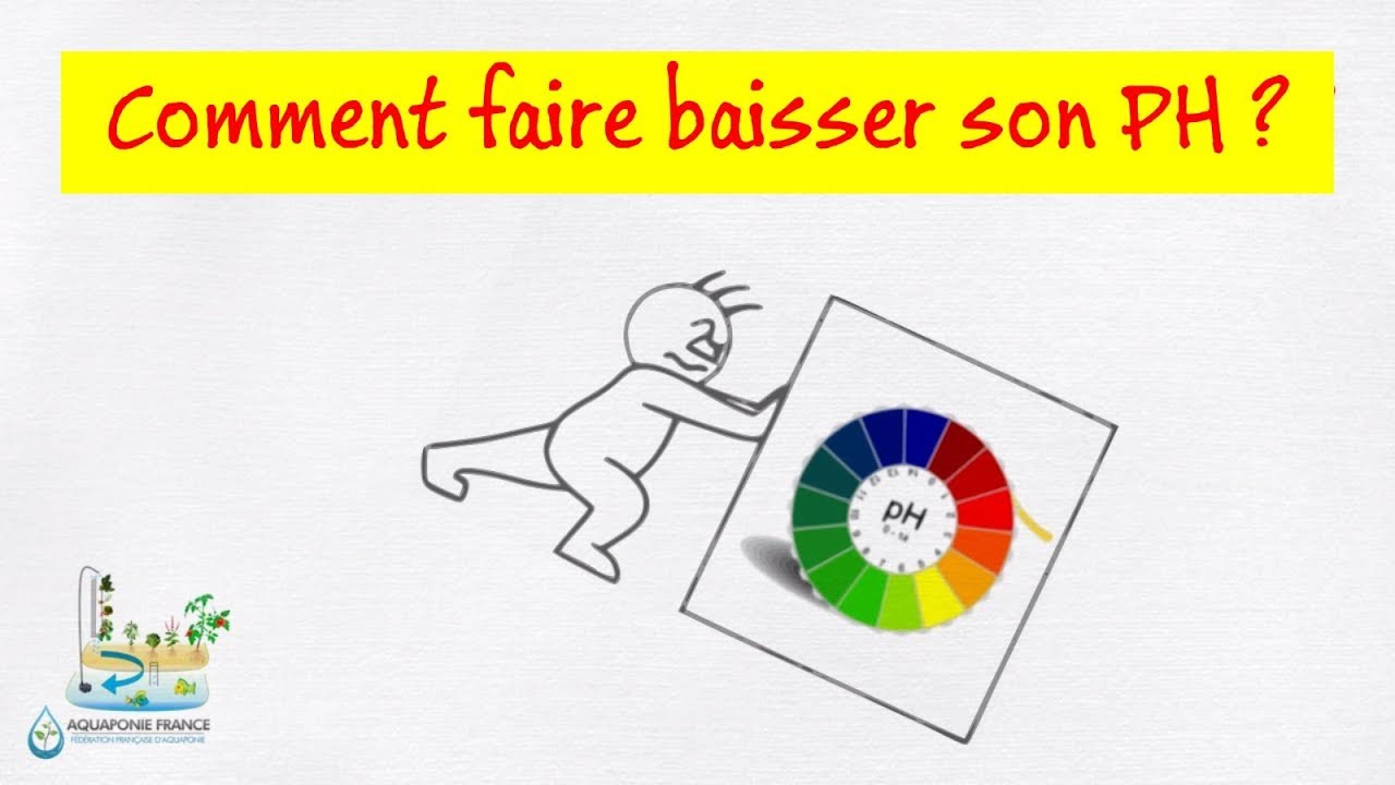 📉 Comment baisser son PH en aquariophilie et aquaponie