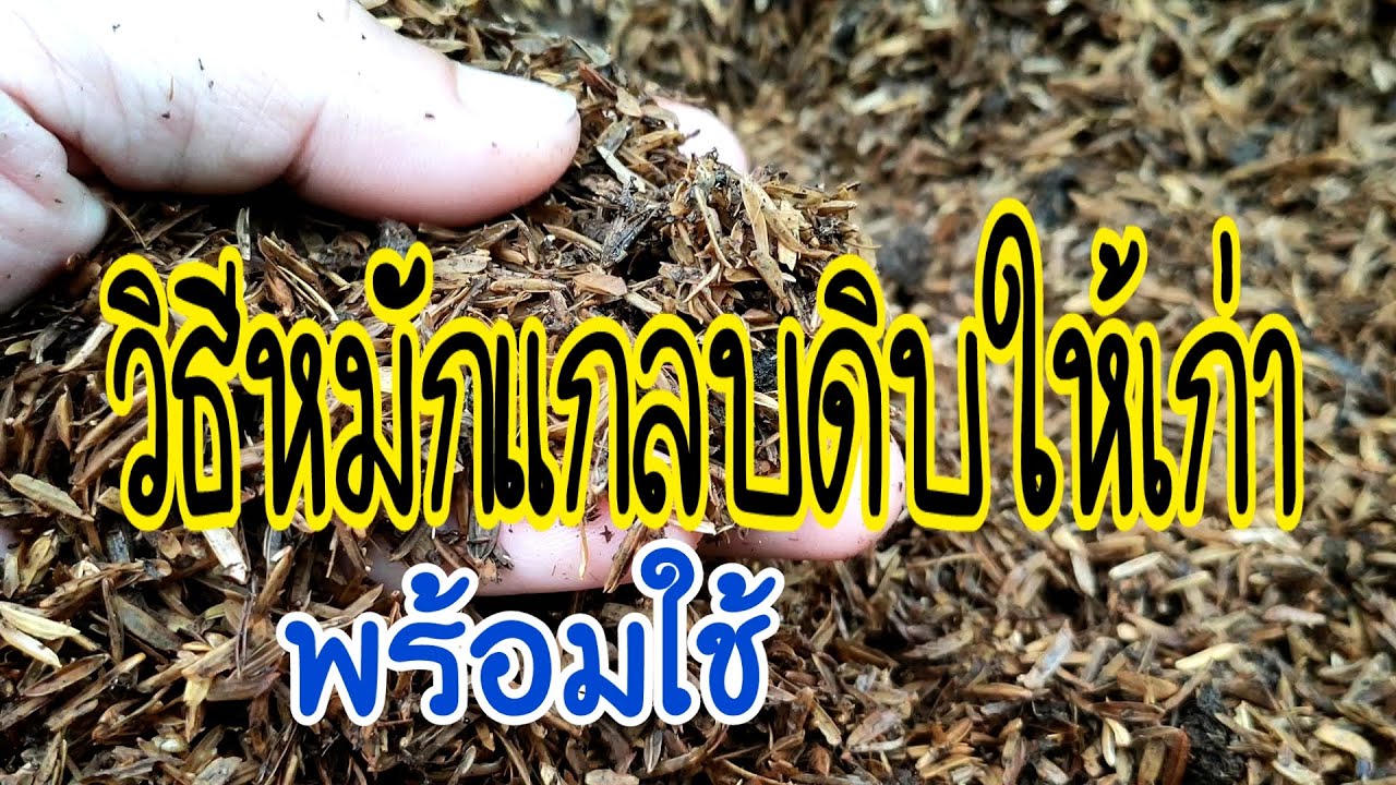 วิธีหมักแกลบดิบให้เก่า - พร้อมใช้ บำรุงพืชผัก ,ปรับปรุงสภาพดินให้ร่วนทรุย