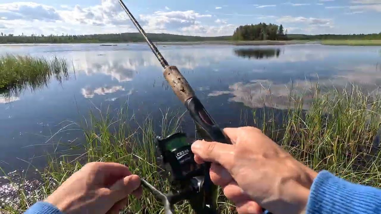 Рибалка в Швеції. Красиві озера та природа все в одному відео