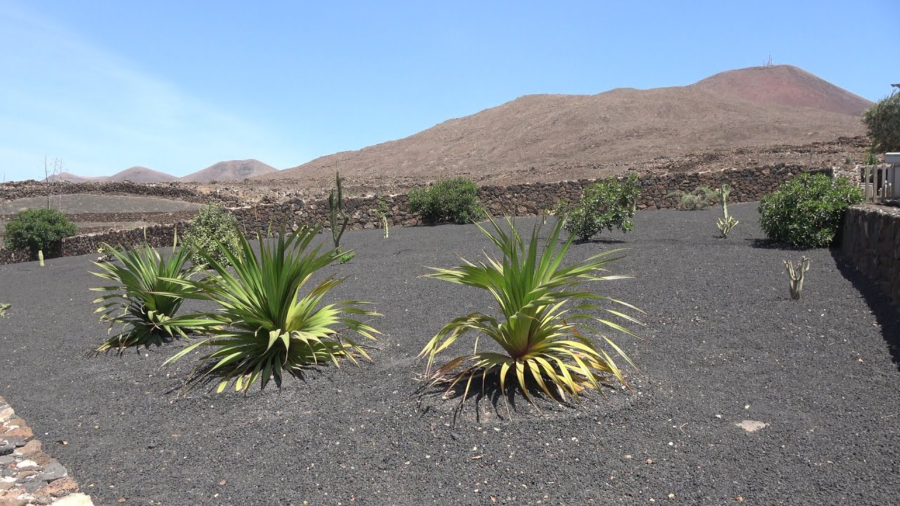 Lanzarote: the house in Las Breñas (4K)