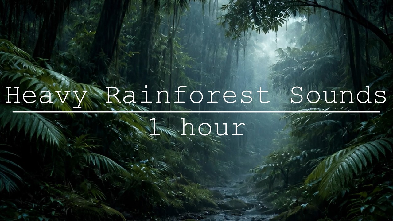 HEAVY RAINFOREST RAIN SOUNDS FOR SLEEP | 1 HOUR