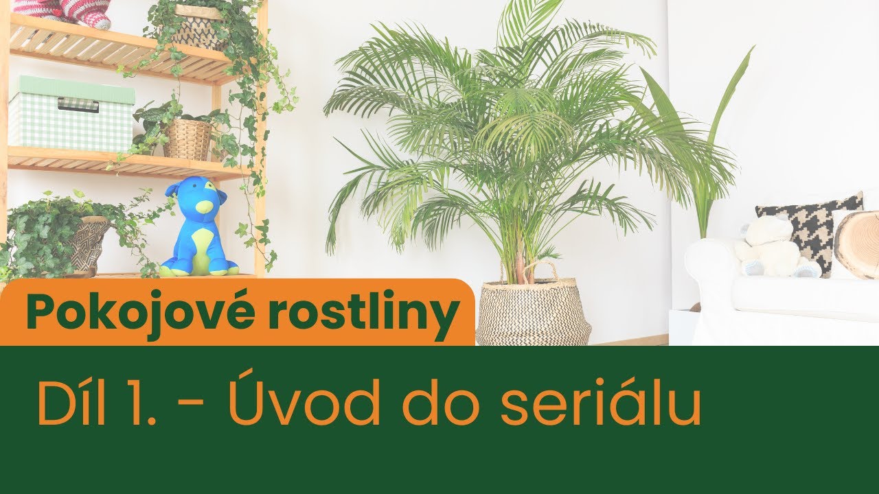 Pokojové rostliny - 1.díl - Úvod do seriálu