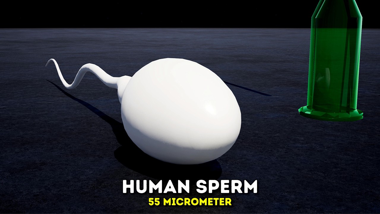 Subatomic Size Comparison 3D