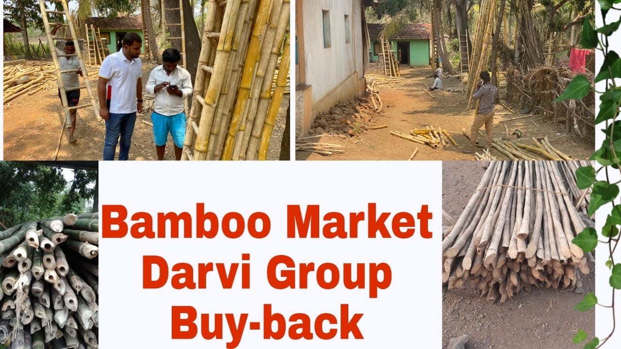 ಬಿದಿರಿನ ಮಾರ್ಕೆಟಿಂಗ್ ಡಾರ್ವಿ ಗ್ರೂಪ್ ಅವರಿಂದ || Bamboo Marketing ||