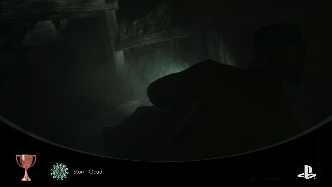 Alan Wake 2 Storm Cloud (BRONZE)Escape from the Dark Presence