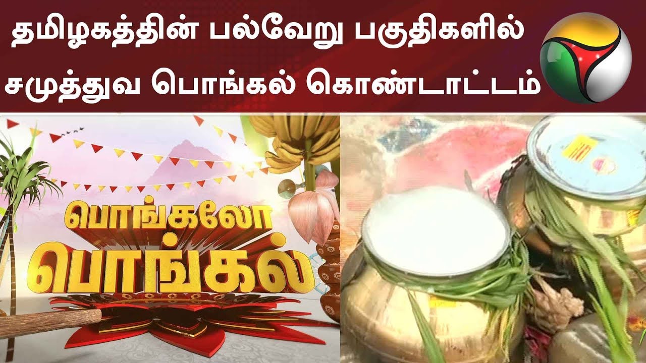 தமிழகத்தின் பல்வேறு பகுதிகளில் சமுத்துவ  பொங்கல் கொண்டாட்டம் | Pongal Festival 2019 | Pongal 2019