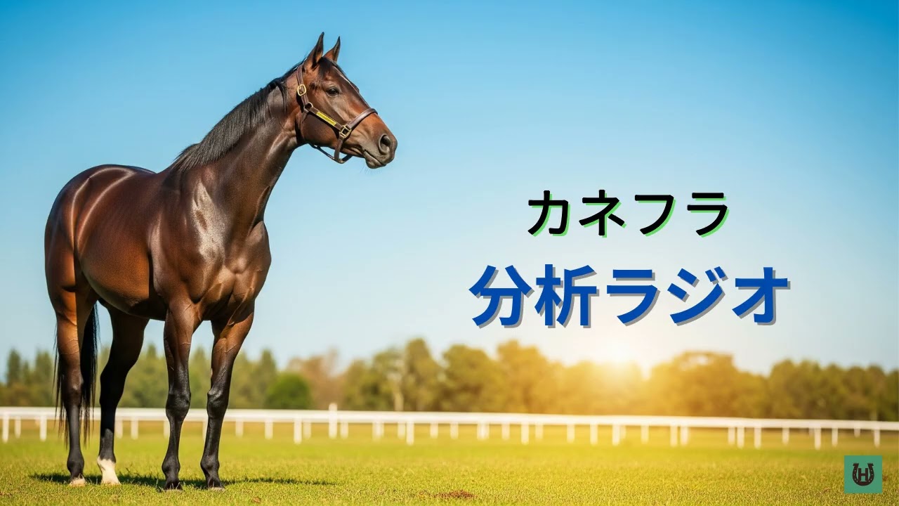 【競馬】カネフラ【分析ラジオ】