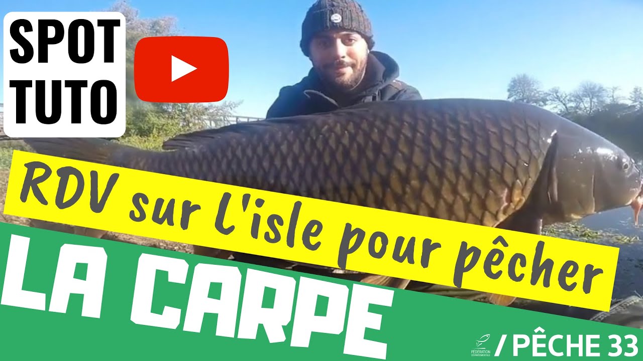 Pêche de la Carpe sur l'Isle