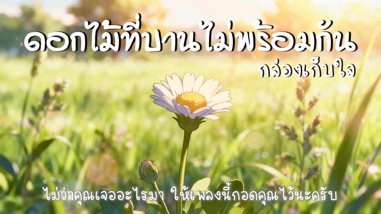 ดอกไม้ที่บานไม่พร้อมกัน | เพลงฮีลใจ ในวันที่เหนื่อยล้า (ฟังแล้วรักตัวเองมากขึ้น)#เพลงฮีลใจ#รักตัวเอง