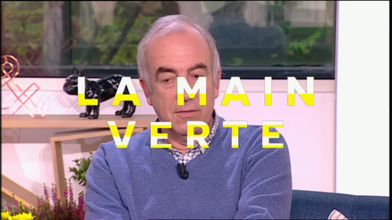 Comment devenir jardinier ? - La Quotidienne