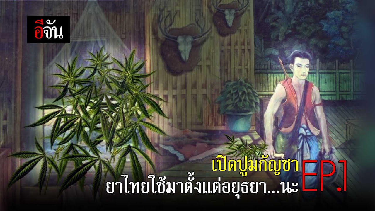 เปิดปูมกัญชา Ep.1 | อีจัน EJAN