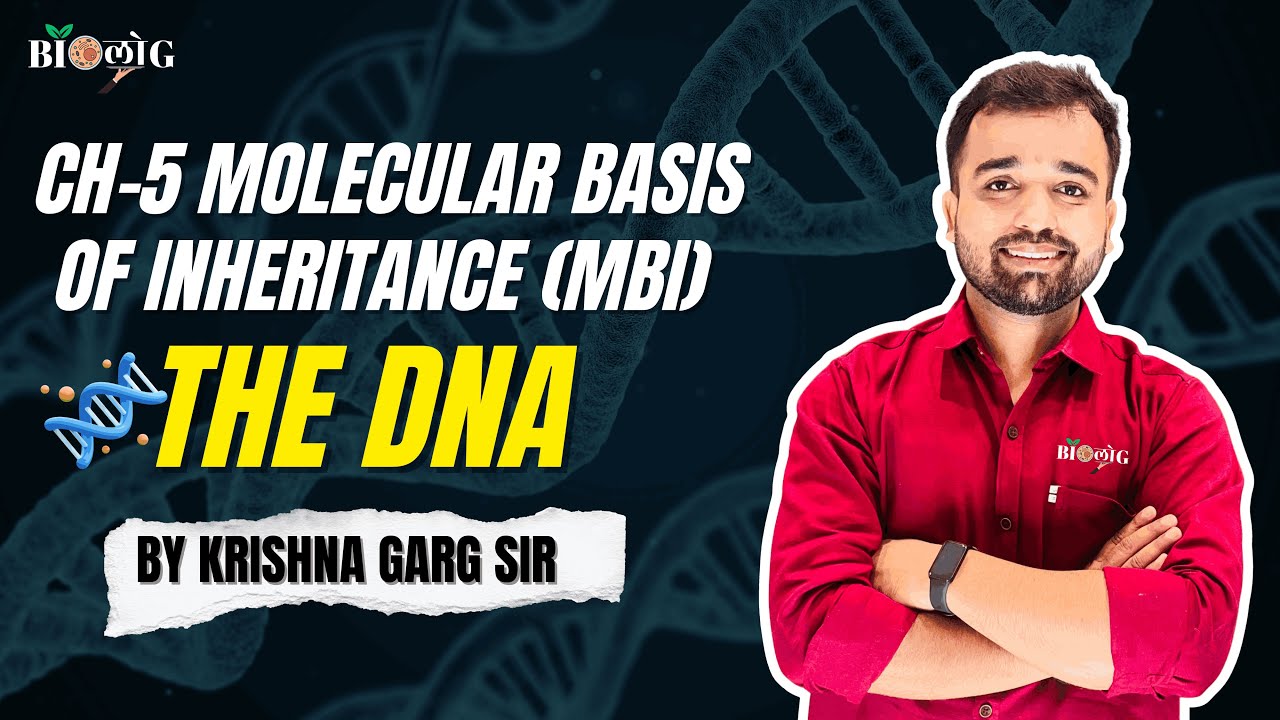 DNA 🧬 | Molecular Basis of Inheritance | Class 12 Biology| NCERT | Genetics | NEET2026 #biologkgsir