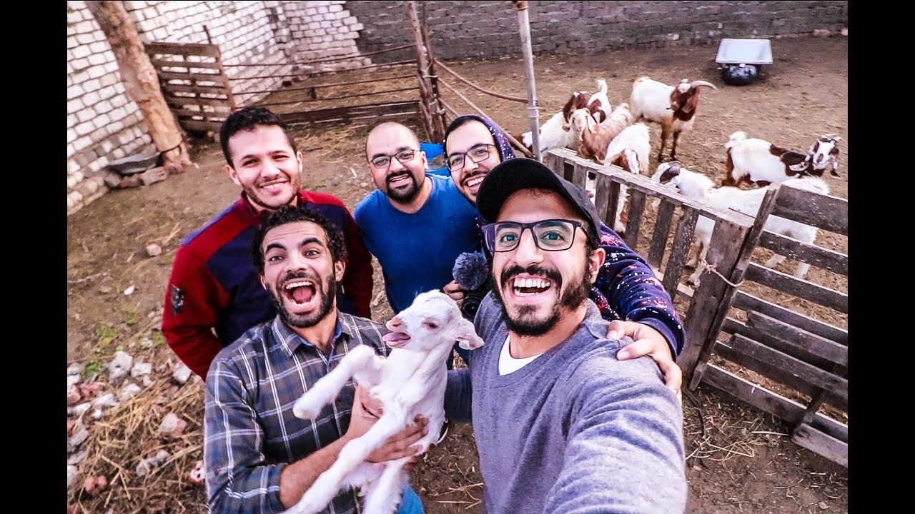ڤلوج المزرعه السعيده عند أحمد أبوزيد مع عمر وشاهين وكيميا