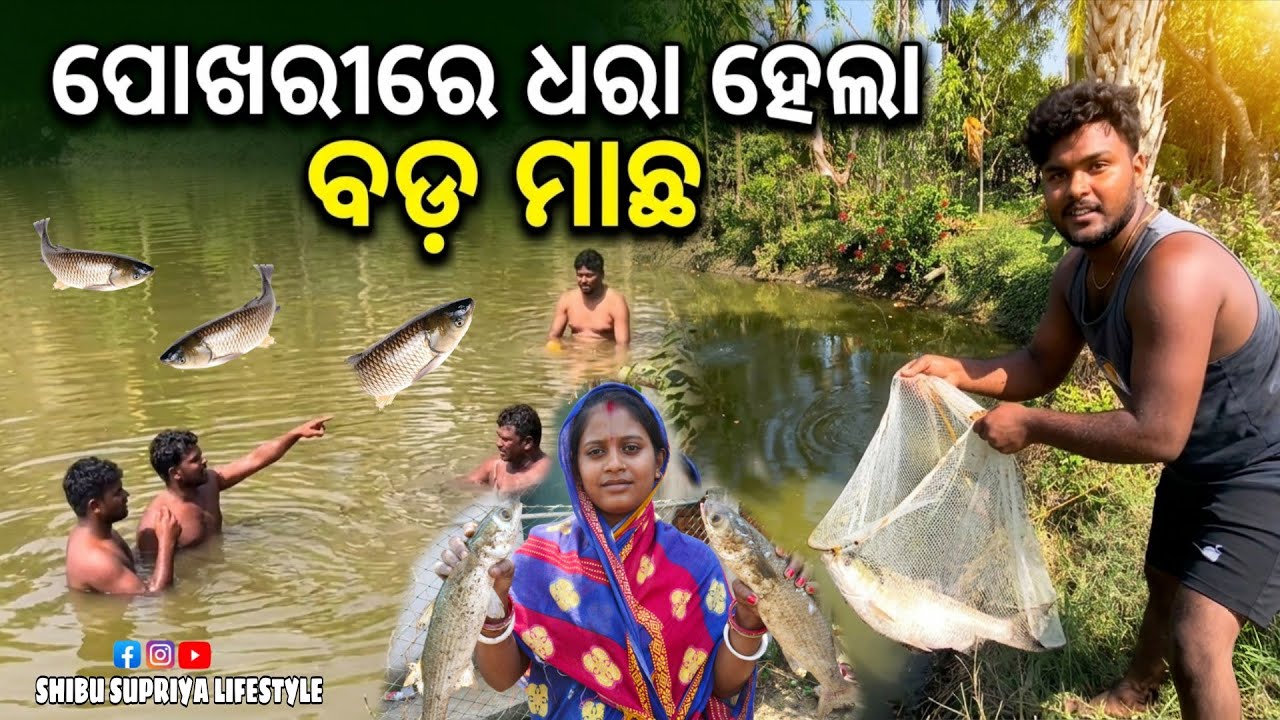 ହଟାତ୍ କଣ ପାଇଁ ମାଛ ଧରା ହେଲା 🥰 #shibusupriyacreator 