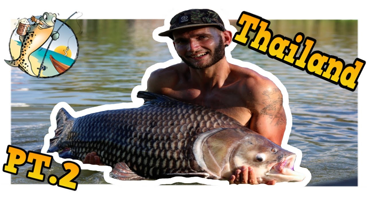 FISHING IN THAILAND PT.2 ***** Catching massive siamese carp and Red tale catfish *****