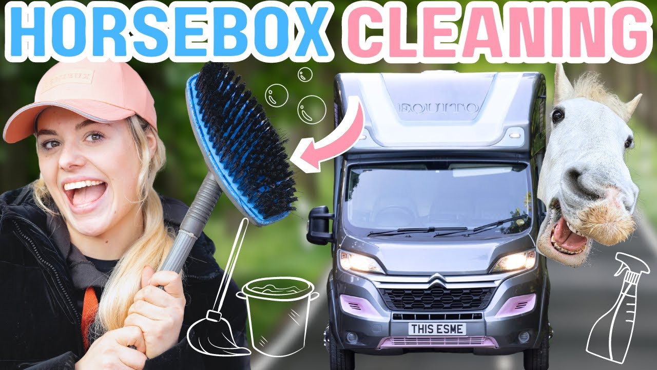 Серия «Весенняя уборка» — Эпизод 2 — Версия Horsebox