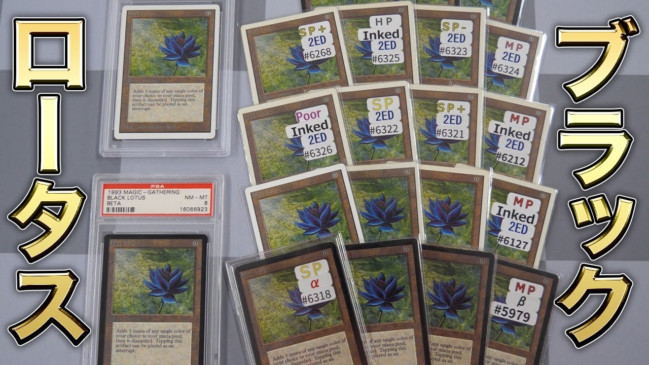 【沼底】総額9000万円!! ブラックロータス全公開 Black Lotus talk